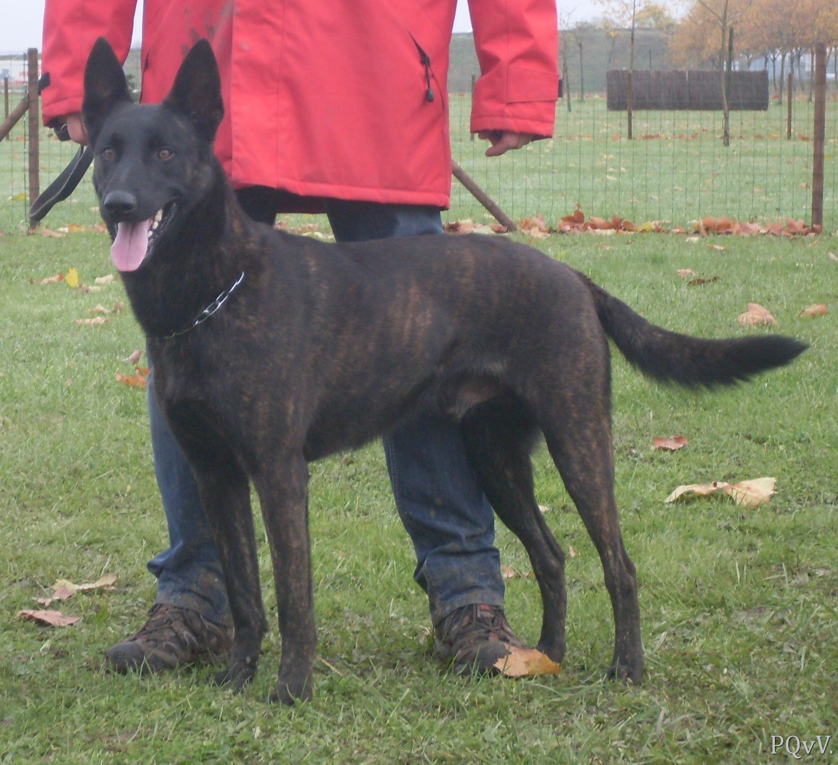 Mac Khalahann’s Fragan 